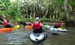 The kayaking group tour, Mangrove Kayak Tour in Isla Damas