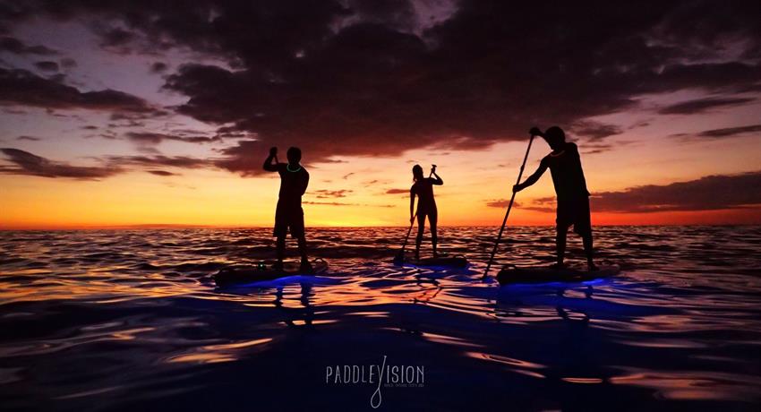 Chill, Manuel Antonio Nocturnal Paddle Boarding Tour