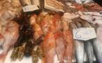 fresh sea food and fishes - tiqy, Market and Gourmet Tapas Tour