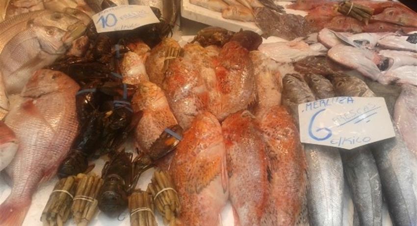 fresh sea food and fishes - tiqy, Tour de Mercado y Tapas Gourmet