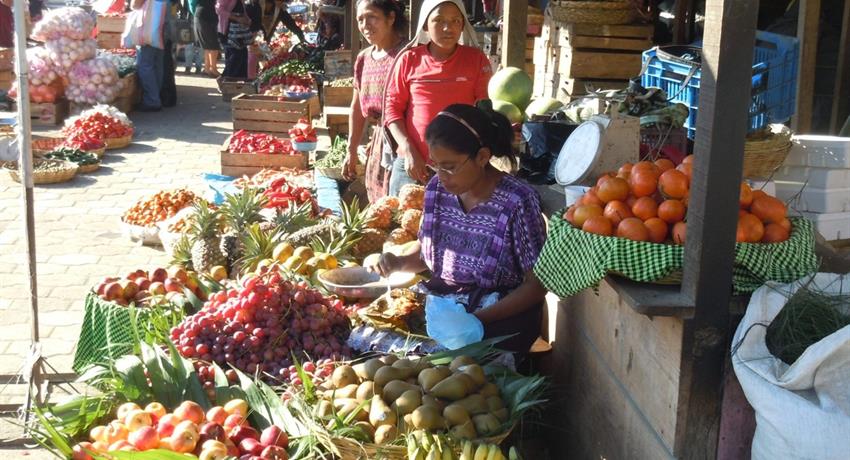 Mercado en Antigua - Tiqy, Mini Adventure in Antigua