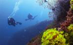 diving tiqy, Morning Double Dive Tour for Qualified Diver