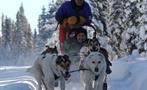 Snow, Tour Narnia Perros de Trineo