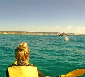 Noosa to Rainbow Beach Tour  