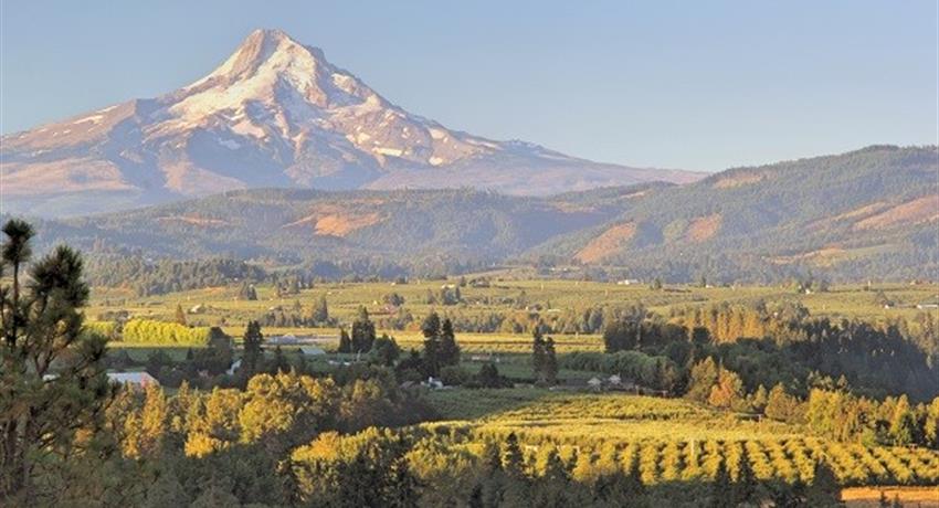 Mount Hood, Oregon 6-Hour Road tour
