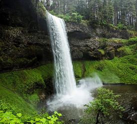 Oregon Full Day Wine and Waterfall Tour