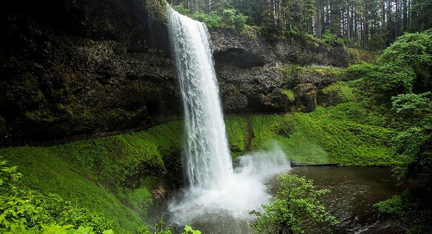 Waterfall, Oregon Full Day Wine and Waterfall Tour