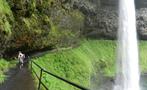 Trsil of the falls, Tour de Vino y Cascada en Oregon