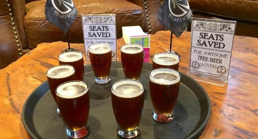 Beer Tasting, Patios and Pubs Tour