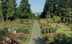 Rose garden, Tour de 3 Horas por los Hitos de Portland