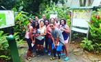 Yunque Rainforest and Bio Bay Group in Rainforest, El Yunque and Bio Bay Tour