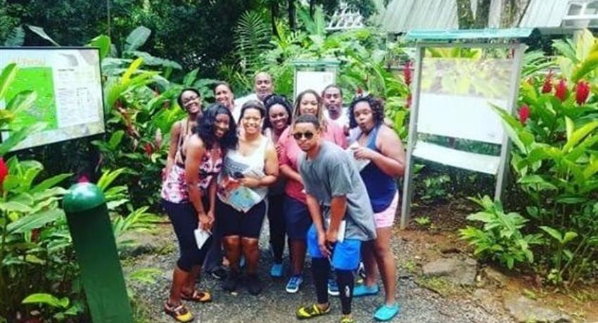 Yunque Rainforest and Bio Bay Group in Rainforest, El Yunque and Bio Bay Tour