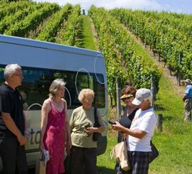 Vistas, Viñas y Vinos Premium