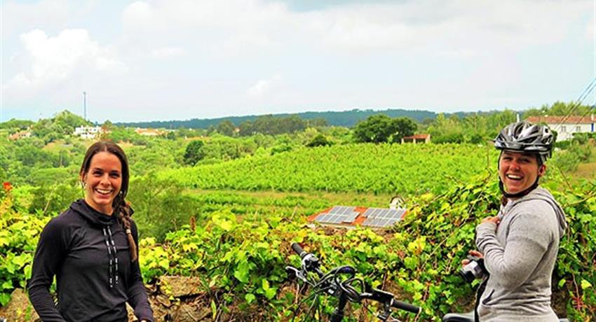 Private Wine Tasting E-Bike Tour, Tour de E-Bike Privado con Cata de Vinos