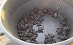 2, Release Marine Turtles Camping Trip