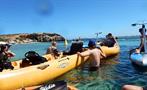 Seal and penguin island tour kayak, Seal and Penguin Island Tour