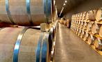 wine tour in an old winery - tiqy, Segovia with a Small Group with a Glass of Wine in Your Hand