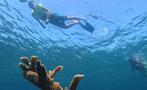 snorkeling coral beach, Snorkeling Varadero Tour