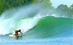 The Famous Silverback Waves of Bocas del Toro, Surf Lessons in Bocas del Toro