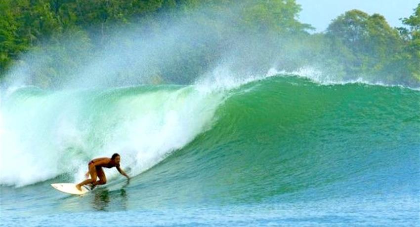 The Famous Silverback Waves of Bocas del Toro, Surf Lessons in Bocas del Toro