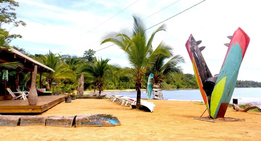 Your place to surf or chill, Surf Shuttle in Bocas del Toro