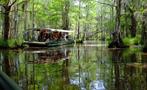 Panoramic tour through the swamp - tiqy, Swamp Boat Tour