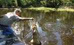 Feeding the cocodriles - tiqy, Tour en Bote de Pantano