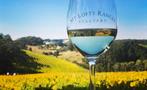 Swan Valley Tours wine glass, Swan Valley Tour