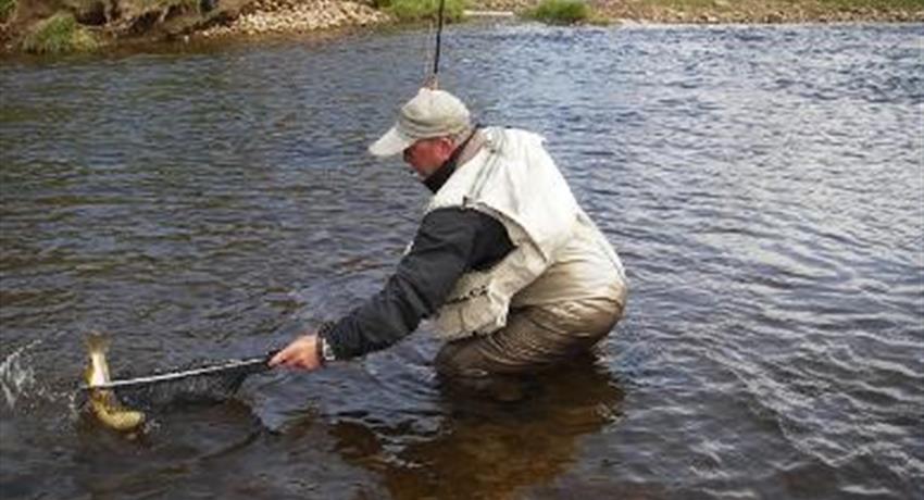 Learn how to fishing - tiqy, Vacaciones de Pesca con Mosca en Río Eden con The Kings Arms