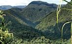 view of a beautiful mountain, The Kingdom of Rainforests and Tropical Fauna