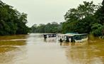 boat tour in Sarapiquí River, The Kingdom of Rainforests and Tropical Fauna