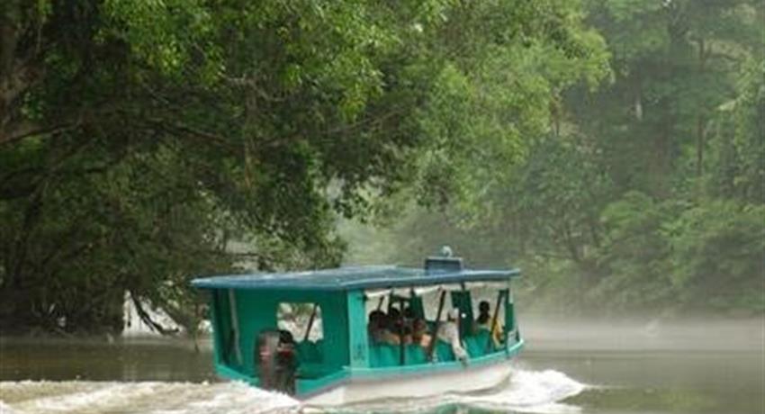 boat tour in Sarapiquí River, The Kingdom of Rainforests and Tropical Fauna