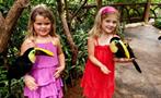 kids playing with tucans, The Kingdom of Rainforests and Tropical Fauna