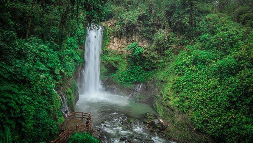 The Kingdom of Rainforests and Tropical Fauna, San Jose, Costa-Rica | Tiqy