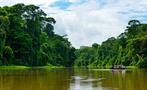 Boat tour through rainforest, Tortuguero National Park 