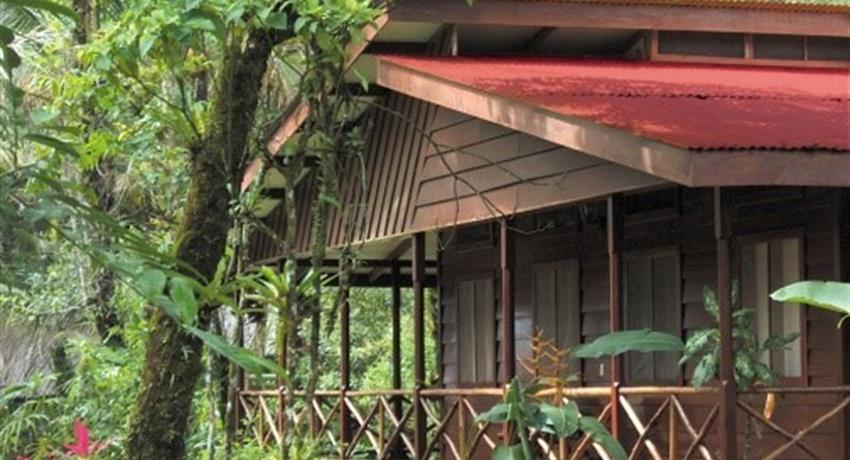 Beautiful house in the woods, Tortuguero National Park 