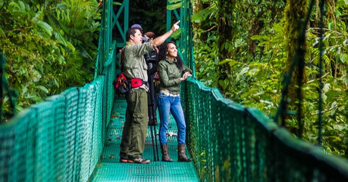 Pasarelas de Árboles y Puentes Colgantes, Monteverde, Costa-Rica Tiqy