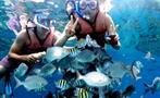1, Hookah Snorkeling Bay of Pigs Caribbean Sea