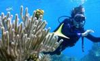 2, Hookah Snorkeling Bay of Pigs Caribbean Sea