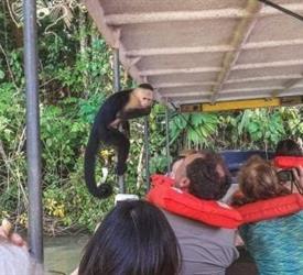 Visita a Isla de los Monos y a la Comunidad Emberá desde el Muelle Público de Gamboa