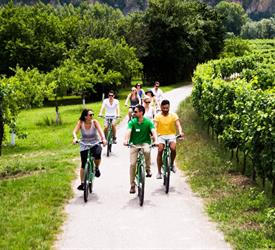 Wachau Valley Winery Bike Tour