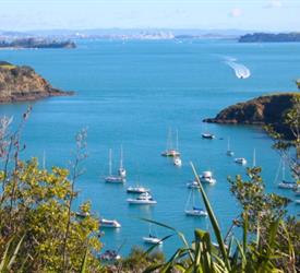 Excursión de un Día a la Isla Waiheke