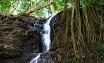 Waterfalls Tiqy, Waterfall Picnic Tour