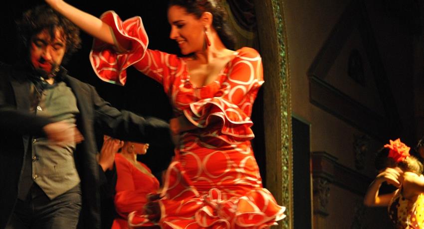 live presentation of flamenco - tiqy, Bienvenidos al Flamenco
