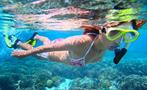 Different places to explore - tiqy, Snorkeling in Cahuita Coral Reef 