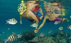 Couple snorkeling together - tiqy, Snorkeling in Cahuita Coral Reef 