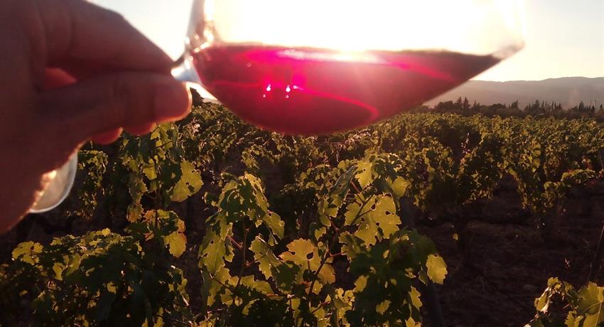 Sunsets and Wine, Tour Amantes del Vino