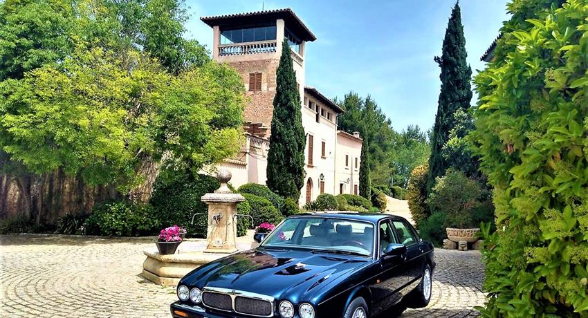 Wine Tasting & Tapas Lunch, Private Tour in a Classic Jaguar Car with Wine Tasting & Tapas Lunch