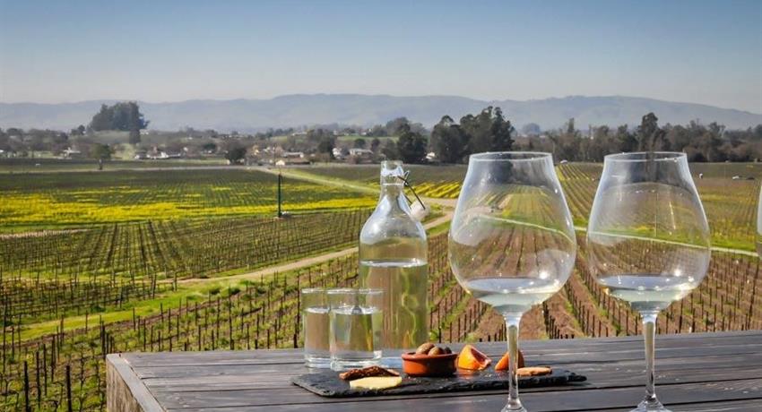 Wine Lovers Tiqy, Wine Tasting Tour in Napa Valley