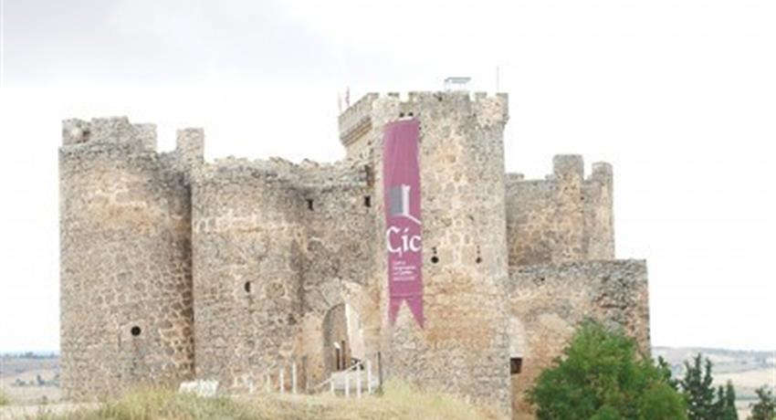 Castillo Peñafiel en ribero del duero - Tiqy, Winery Route to Ribera del Duero